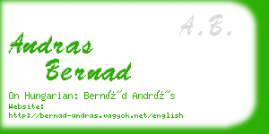 andras bernad business card